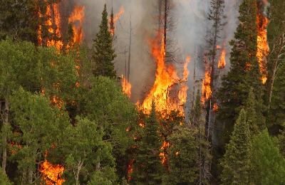 Incendio forestal en Rusia