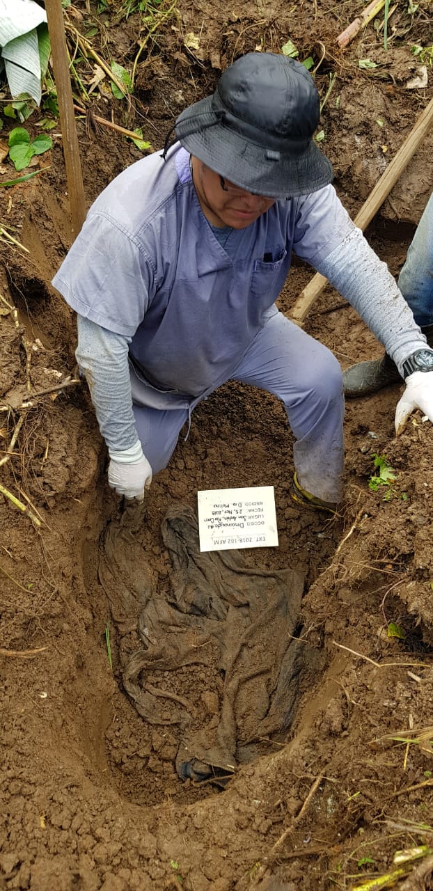 Exhumacion en terreno de los Rosenthal