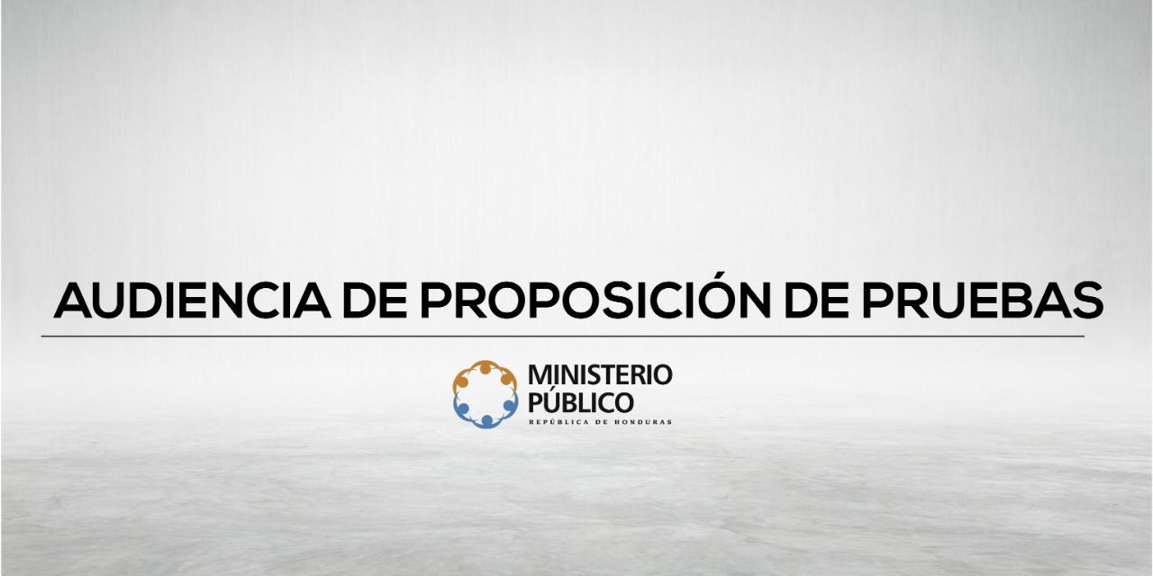 AUDIENCIA DE PROPOSICIÓN DE PRUEBAS OFICIAL