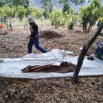 Exhumacion Olancho 2