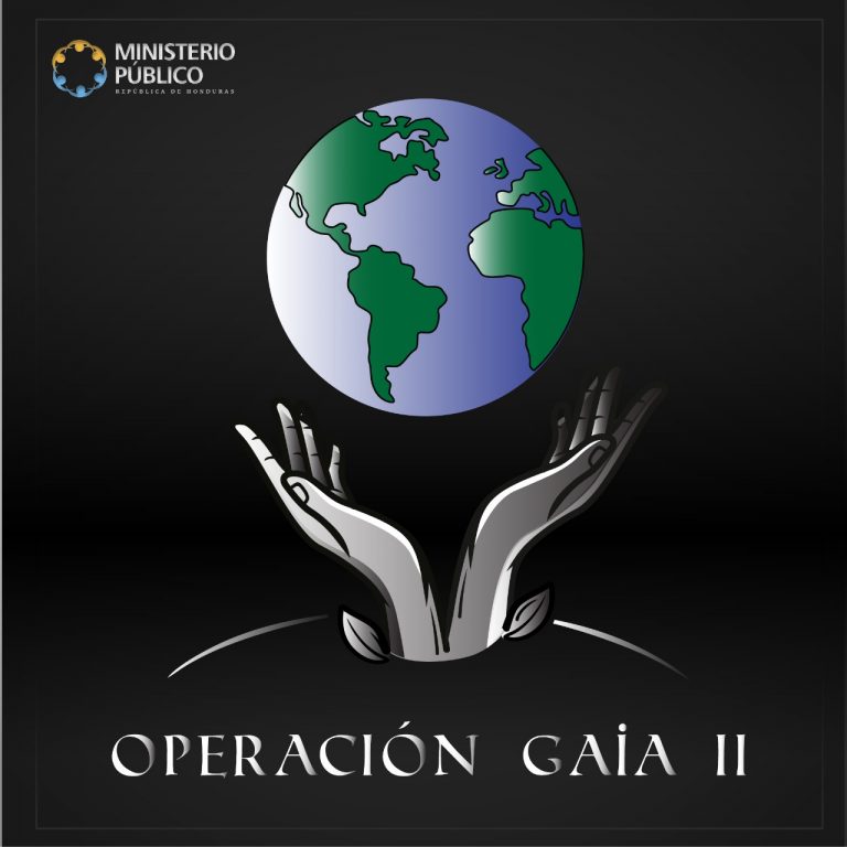 Operación Gaia II