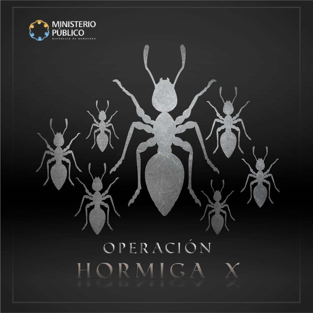 Operación Hormiga X