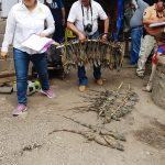 RESCATE DE IGUANAS EN CHOLUTECA AFP FEMA 1