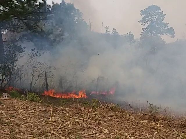 incendio forestal comayagua