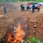 Incineran más de 200 libras de droga decomisada en varios casos en Comayagua