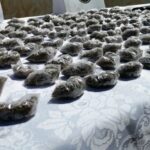 Condenan seis distribuidores de drogas en Comayagua