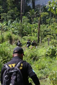 FESCCO y ATIC erradican más plantaciones de arbustos de hoja de coca
