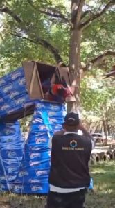 Fiscalía del Ambiente devuelve a su hábitat a más de mil iguanas y guaras rojas rescatados en el sur del país