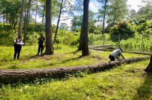 Auto de formal proceso por talar árboles y edificar una supuesta iglesia sin permisos dentro del Parque Nacional La Tigra