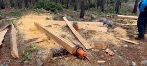 Un detenido durante operativo de protección forestal en Minas de Oro, Comayagua