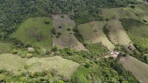 Acciones coordinadas para prevención de delitos ambientales, requerimientos fiscales por delitos tributarios y comunes y atención ciudadana se concreta en operación nacional del MP