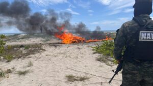 Fiscalía Regional del Litoral Atlántico erradica más de 20 mil arbustos de coca en operaciones ejecutadas en Olanchito