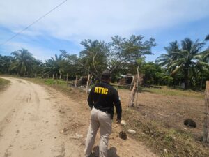 ATIC realiza inspecciones en comunidades garífunas de Atlántida por posible usurpación