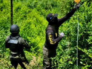 DLCN dirige erradicación de plantaciones de hoja de coca en zona montañosa de Colón